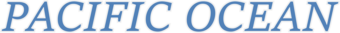 Blue text showing official feature name in uppercase letters.