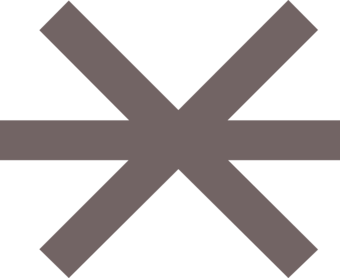 Brown/Gray Asterisk.