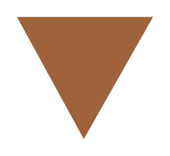 Inverted brown triangle.