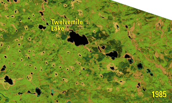 Landsat animation of change in Twelvemile Lake, in the Yukon Flats ecoregion in Alaska