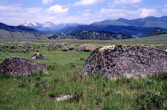 grassy field with moss-covered boulders, and forested hills and snowy mountains in the distance