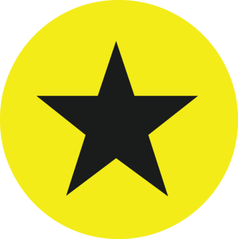 Dark gray star within a yellow circle.