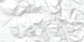 Grayscale image depicting terrain relief.