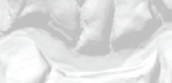 Grayscale image depicting terrain relief.