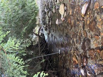 Mundt Creek