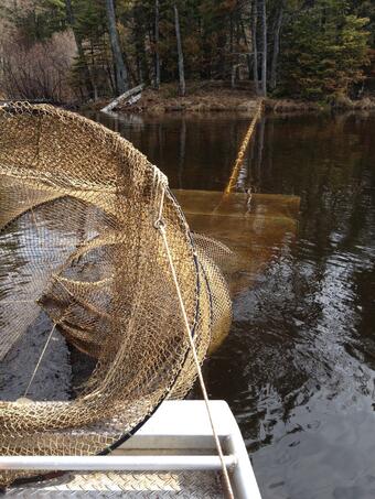 Close up of fishing net in lake