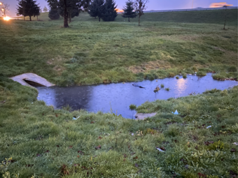 A shallow grassy channel holding water by a storm drain in a grassy field.