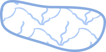 Outline with marker fill. Fill consists of seventeen layers of varying marker type, size, angle and/or offset.