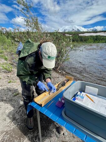 Female with blue latex gloves in green waterproof jacket and pants and beige ball cap with green USGS logo next to water.