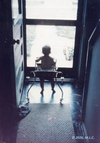 TNMCorps volunteer Spirit_of_Fundy as a baby staring out of a screen door. 