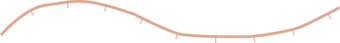 A brown hash line on top of a brown solid line.