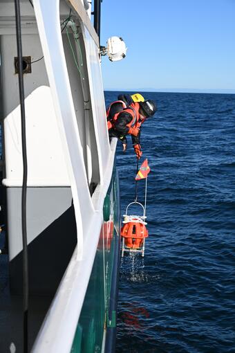 people using long pole to retrieve small floating piece of equipment in the ocean