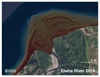 animated satellite images showing sediment outflow over time from Elwha River
