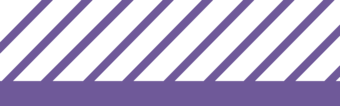 Purple outline with purple slanted hashes on the interior of the polygon area.