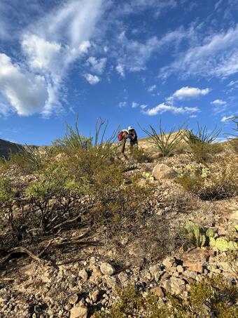 Two people standing in a desert/rocky landscape with low vegetation and several cactii. 