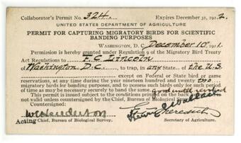 yellowed paper reading "Permit for capturing migratory birds for scientific banding purposes" name, date and permit number