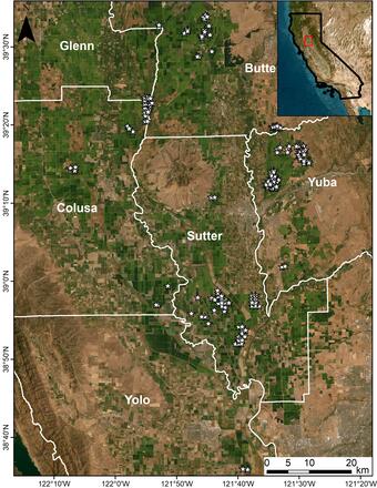 rice field locations