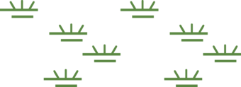 A green marker fill, at varying offsets, with no outline.