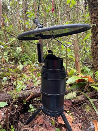 Photo of dark cylindrical trap with round cover above set upon the ground with ferns and trees in background