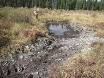 a person standing beside a small muddy pond surrounded by brown grass and shrubs