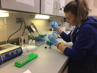 a person using a pipettor and holding a test vial in a laboratory