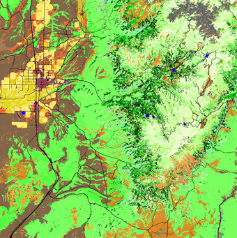 Example of LANDFIRE Existing Vegetation Type (EVT)