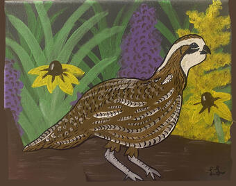 brown and white bird near purple and yellow flowers and green grass
