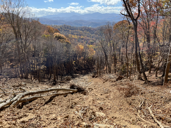 hillslope covered in rocks mud and downed trees