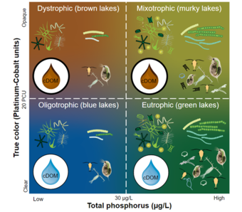 Nutrient-Color Paradigm (NCP) scheme for classifying oligotrophic, eutrophic, dystrophic, and mixotrophic lakes. 