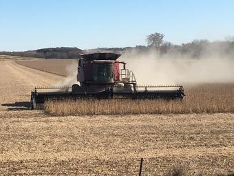 soybean harvest