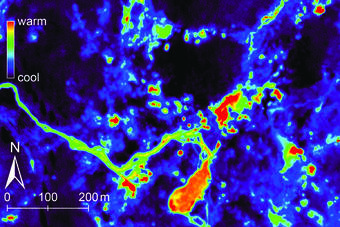 anastomosing patterns of color denote isolated hot springs and warm streams draining hydrothermal thermal features