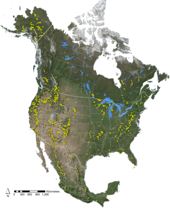 map of North American tree-ring fire-scar network