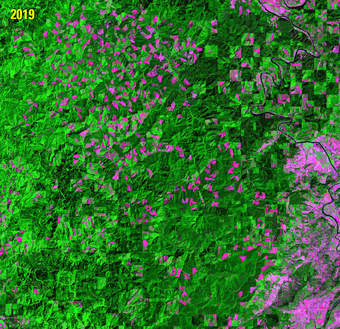 Animation of logging in Oregon