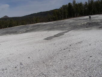 Gray flowage deposit on white ground, with lodgepole pine trees and blue sky in the background