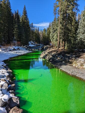 Image of green dye in water during dye tracer study on the Slate River