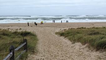 High waves and sandy vegetated beach, people watching the waves