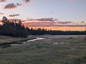 A river winds through a meadow at sunset, with pink clouds in the sky.  Trees are in the background.