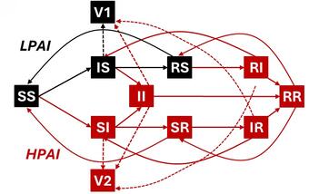 A graphical depiction of an SIR (susceptible - infected - recovered) model design