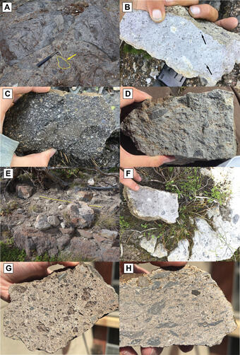 8 photos of gray-colored rock samples or outcrops containing light to dark particles