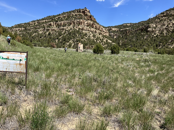 Successful reclamation-grass covers the area that once was an active oil or gas well pad