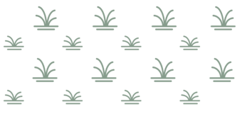 Pattern fill made up of green wetland symbols of various sizes.