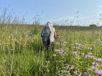Kelsey Shepherd, former M.S. student