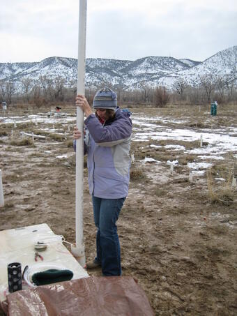 Scientist installing a long PVC pipe into a well