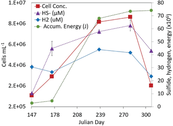 all values rise over time to the middle-late part of the plot, then decrease to previous levels