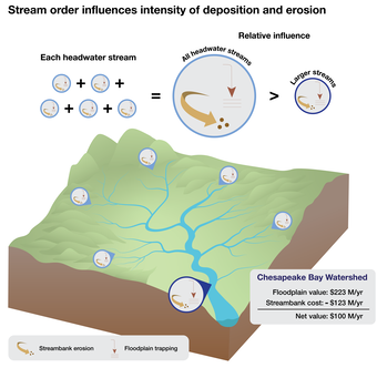 Graphical summary of the relative contribution of headwaters and larger streams to overall sediment and nutrient retention in