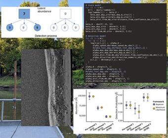 diagram of a hierarchical abundance model for invasive carp populations 