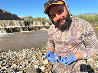 Graduate student is holding a male red shiner