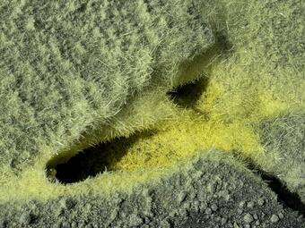 Color photograph of sulfur crystals in ground crack