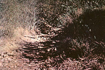 View of main earth spillway.