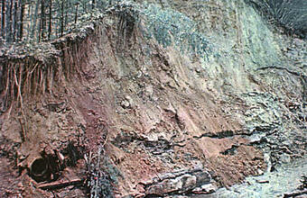 View of the right face of breach.